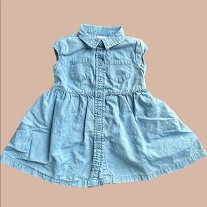 Okie Dokie: Button Down Denim Dress